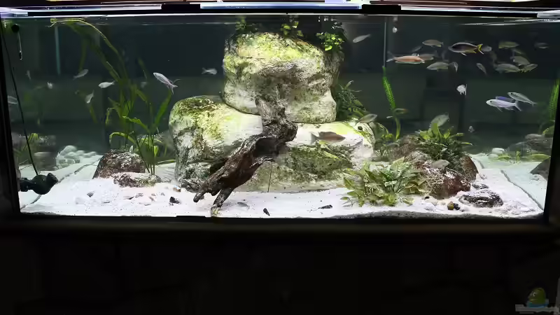 Ansicht vom Essbereich  von Jörg (5)