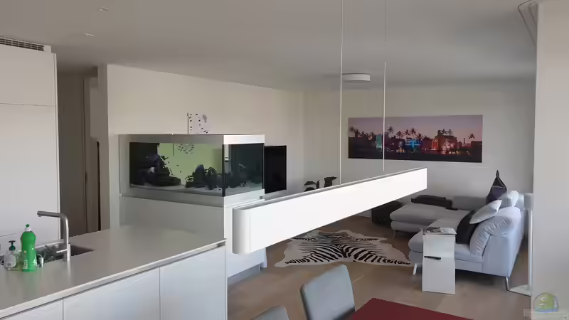 Ansicht vom Essbereich von Ravy (2)