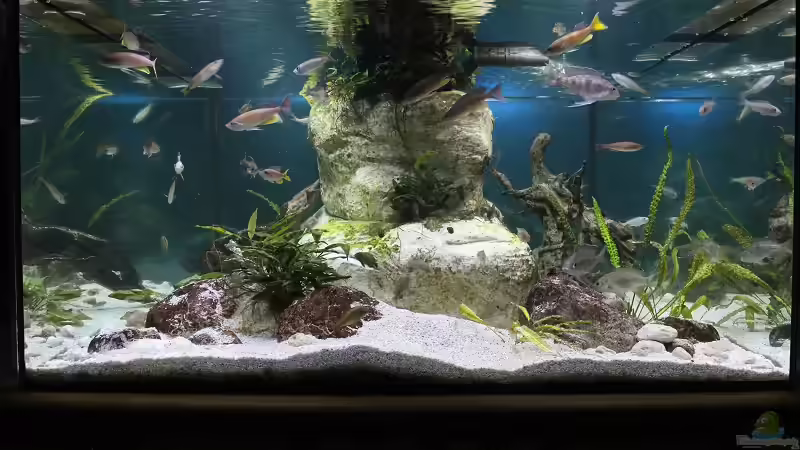 Ansicht vom Flur/Eingangsbereich von Jörg (3)