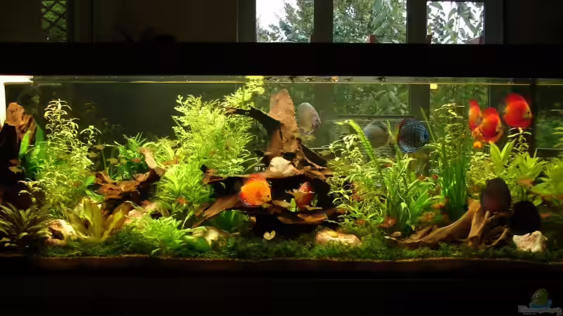 Ansicht vom Sofa aus von lod (1)