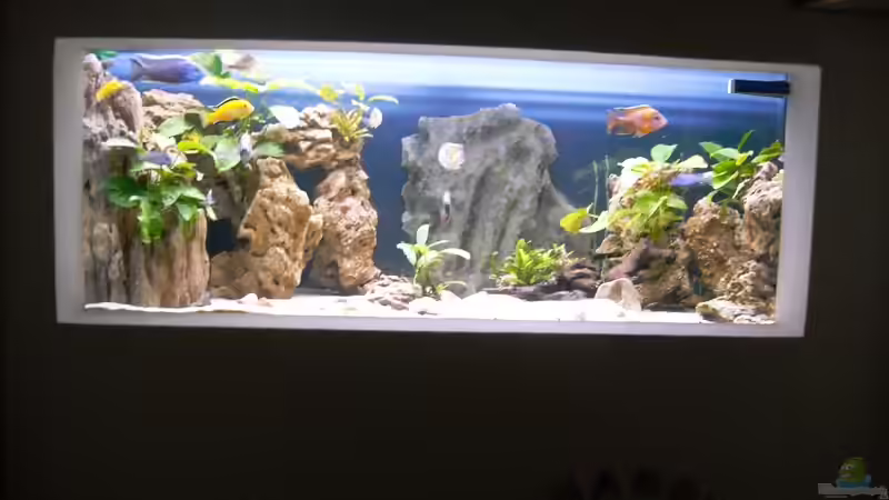 Ansicht vom Vorzimmer - das Becken selbst steht hinter der Wand in einem extra Raum von Herbert (20)