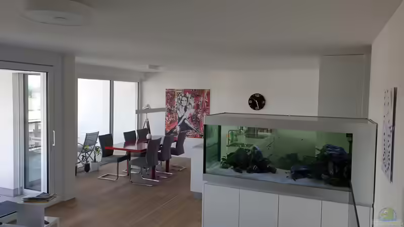 Ansicht vom Wohnbereich von Ravy (3)