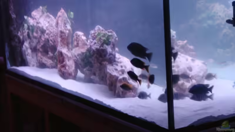 Ansicht vom WZ von Thomas Lapper (2)