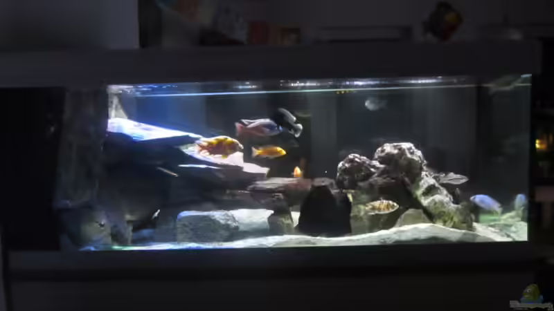 Ansicht von der Couch von Dunzi (4)