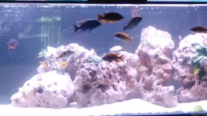 Ansicht von der Diele