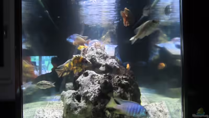 Ansicht von der Küche von Dunzi (3)