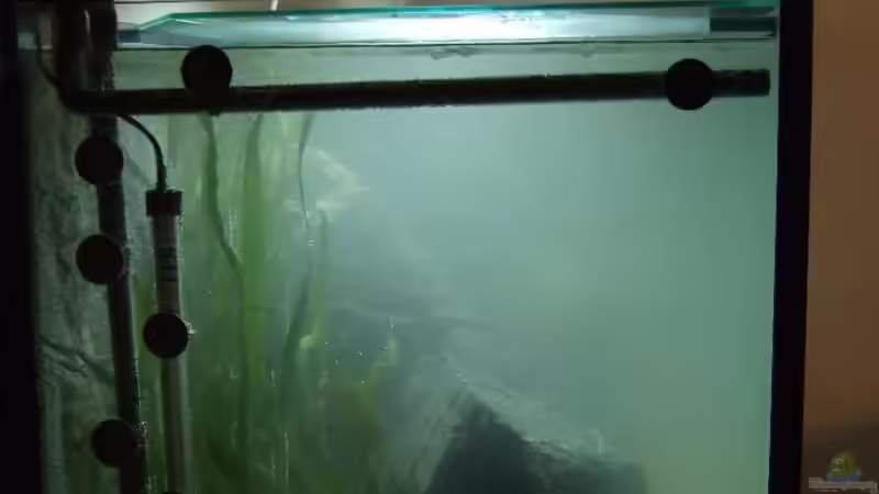 Ansicht von der Seite, Blick auf Heizung und Ansaugrohr Filter von Crenii (7)