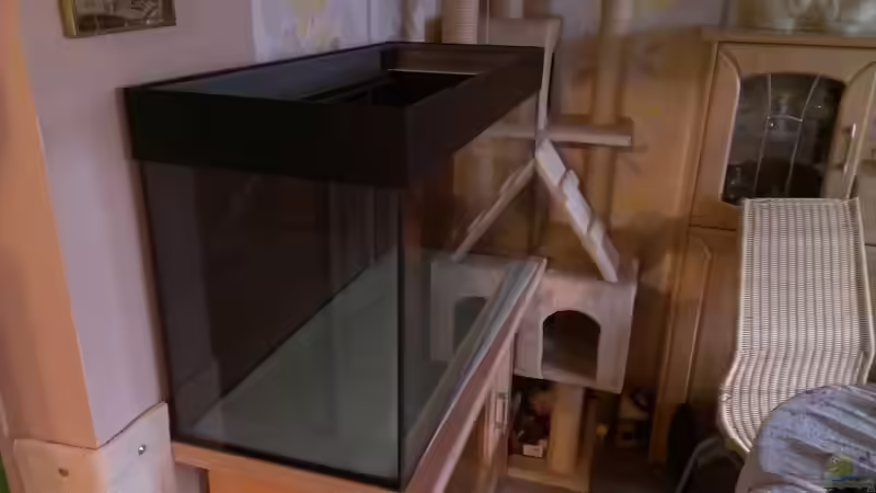 Ansicht von der Seite von raubsau (11)