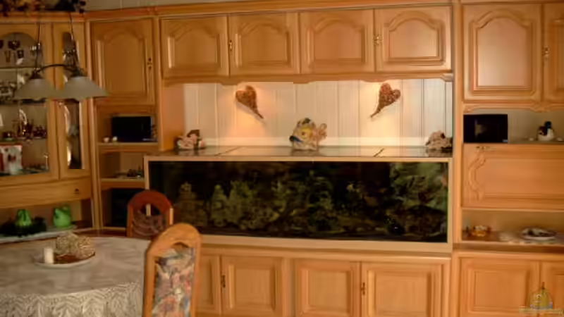 Ansicht von der Sitzecke aus