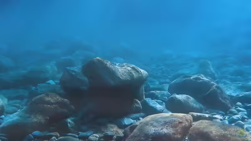 Ansicht von der Terassenseite wurde mit diesem Digitaldruckposter gegen die einfallende von Jörg (6)