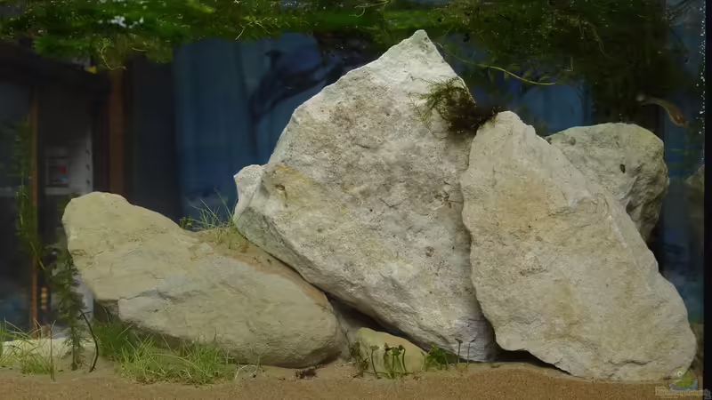 Ansicht von draussen von paris (23)