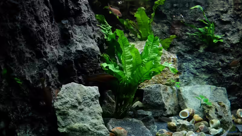 Ansicht von links - Jan 2016 von Harald Götz (3)