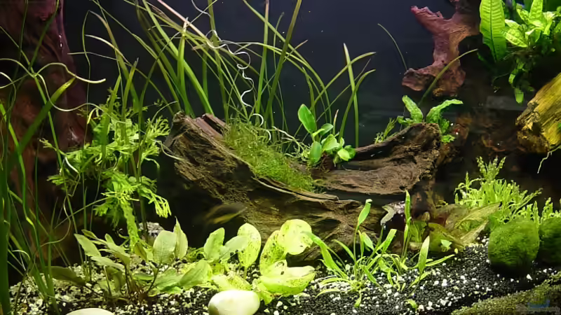 Ansicht von links, November 08 von Carsten Gutsche (2)