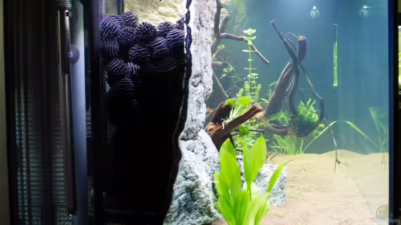 Ansicht von links Ersteinrichtung von GoreSlayer (13)