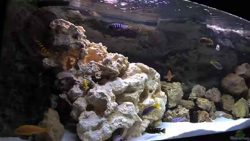 Ansicht von Links von African Lake (2)