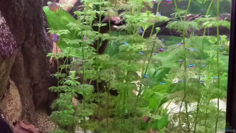 Ansicht von Links von Andy Weiss (10)