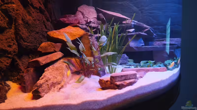 Ansicht von Links von Slay (3)