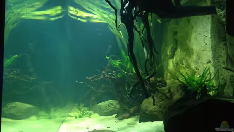 Ansicht von links von SML (2)