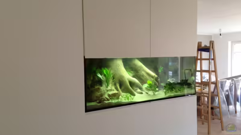 Ansicht von links von Tooooni (9)