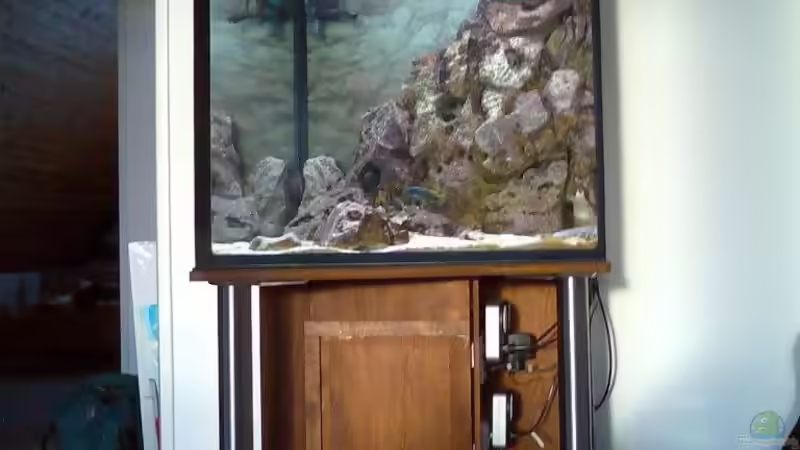 Ansicht von Michael Grube (3)