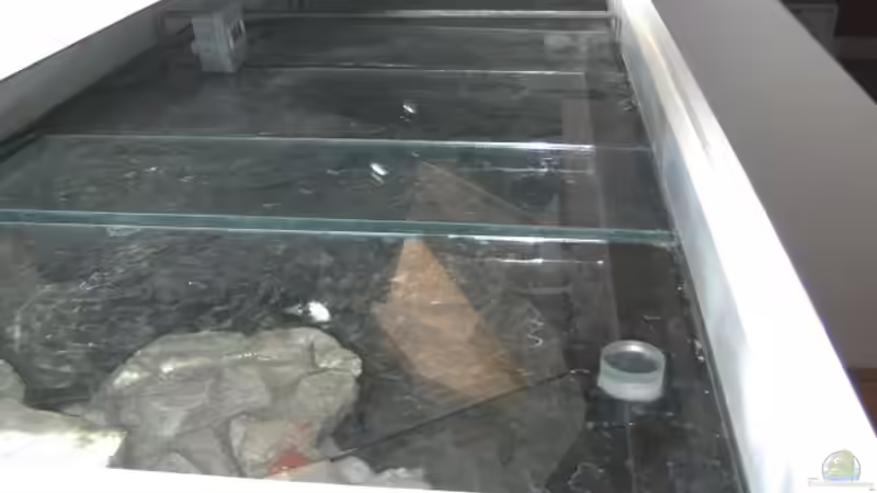 Ansicht von oben auf Abdeckscheiben von rayskin (6)