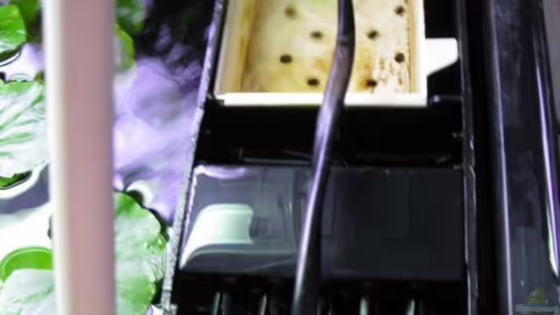 Ansicht von Oben auf das Filtersystem von gestresster (Sven) (14)