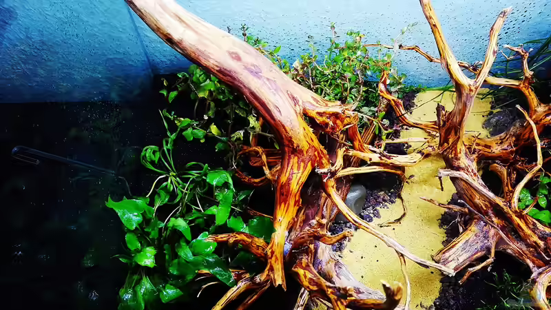 Ansicht von oben Stand 10.04.2020 von Sarah_Schneider (6)