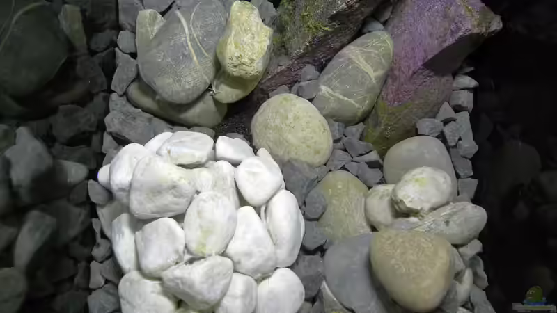 Ansicht von oben von did244 (13)