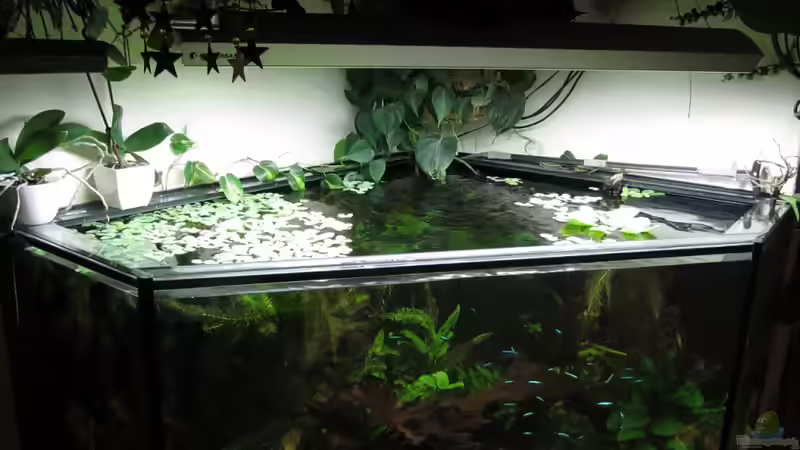 Ansicht von oben von Sabrina Plankensteiner (8)