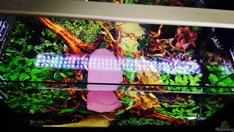 Ansicht von oben von Sarah_Schneider (3)