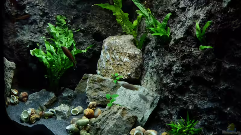 Ansicht von rechts - Jan 2016 von Harald Götz (4)