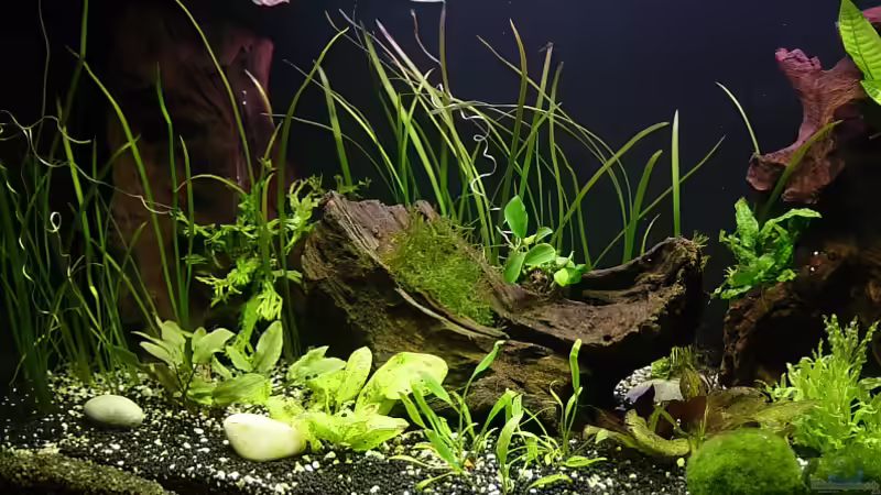 Ansicht von rechts, November 08 von Carsten Gutsche (3)