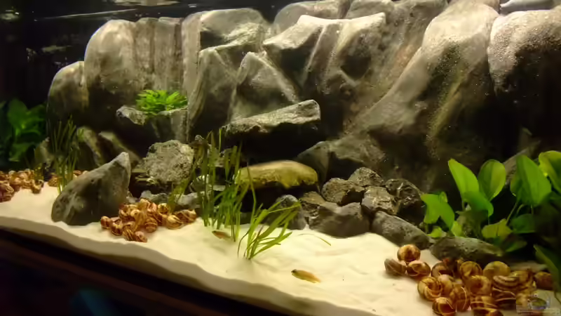 Ansicht von rechts 04.2013 von Trooper (13)