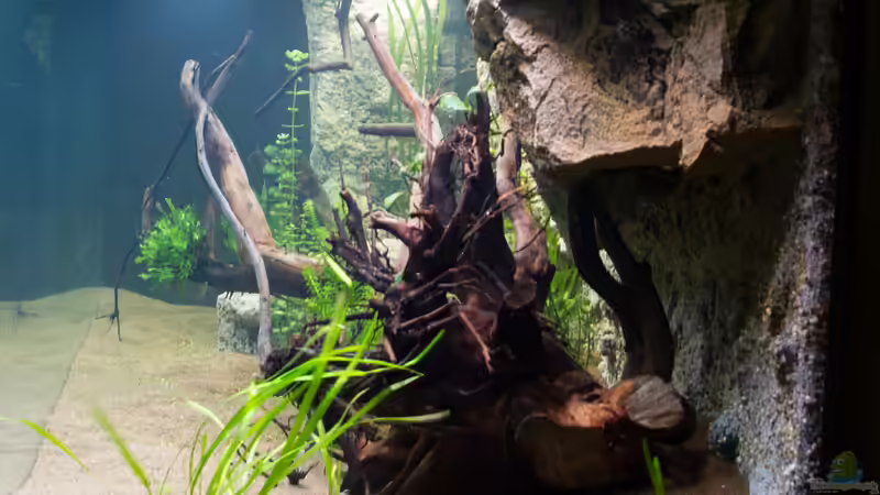 Ansicht von rechts Ersteinrichtung von GoreSlayer (14)