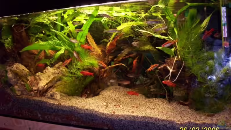 Ansicht von rechts nach links von Markus Heib (2)