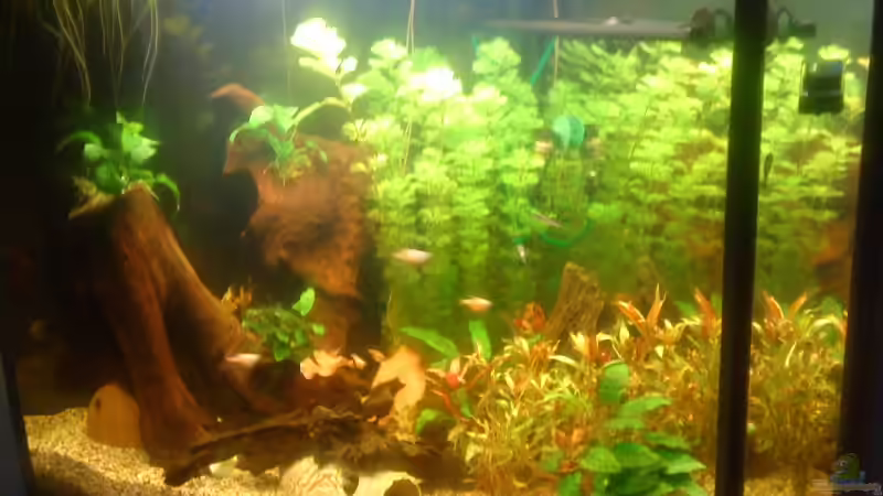 Ansicht von rechts von Marcus Roth (4)