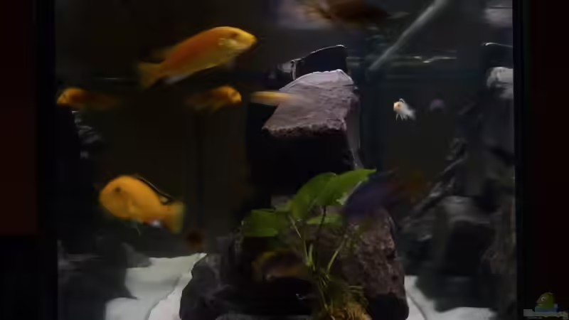 Ansicht von rechts von Sebastian K. (2)