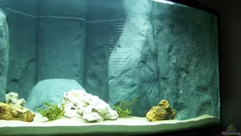 Ansicht von rechts von tobschen (4)