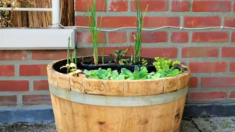 Ansicht von vorne  von Barschfan Aqualive (3)