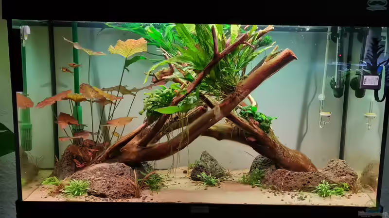 Ansicht von vorne von David Schneider Aquaristik (5)