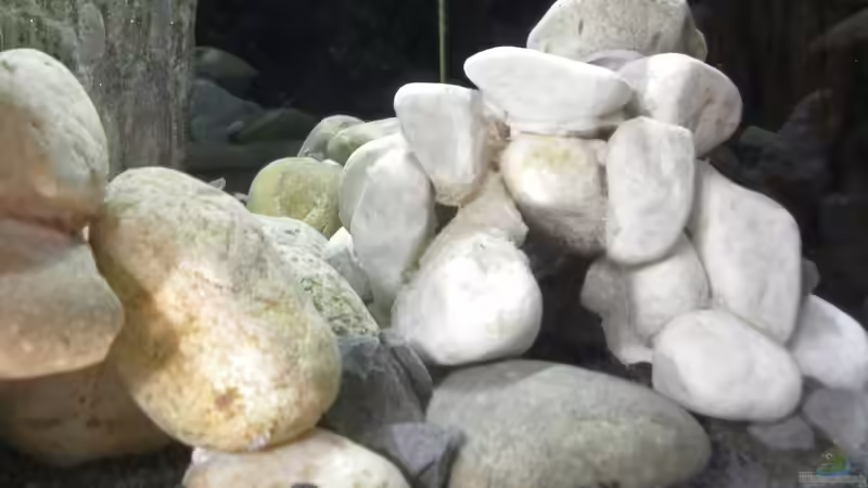 Ansicht von vorne von did244 (14)