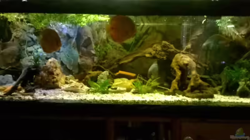 Ansicht von vorne von Lars Ascher (21)