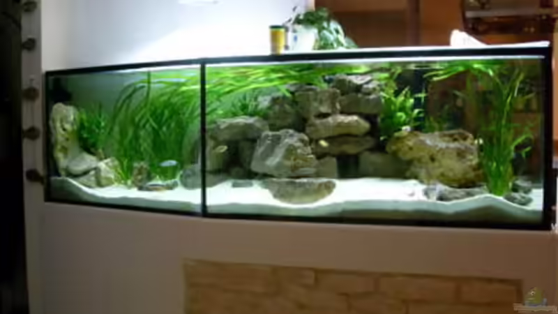 Ansicht von vorne von Mats (20)