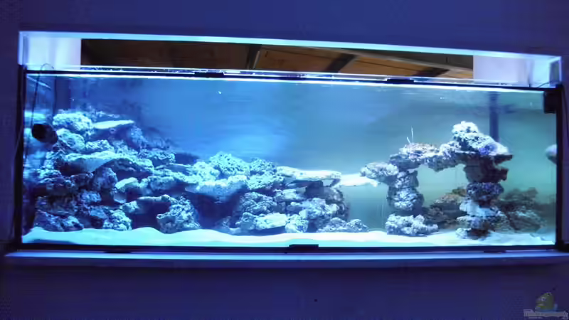 Ansicht von Vorne von mr.boomBASCHTIc (4)