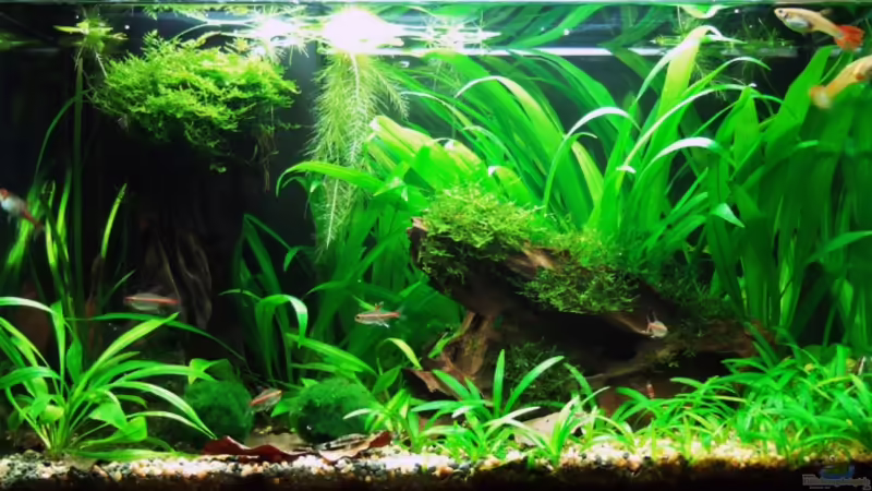 Ansicht von vorne von Steffen Salzmann (1)