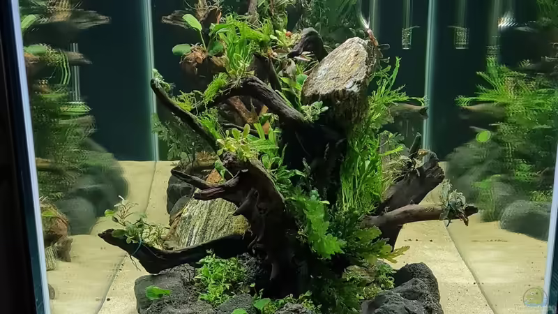 Ansicht Vorne von hange (3)