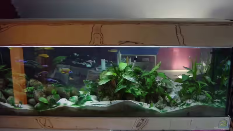 Ansicht Vorne von Jochen Horn (2)