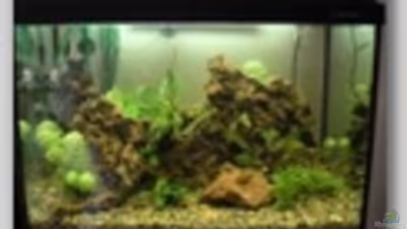 Ansicht vorne von Ralf Thomae (3)