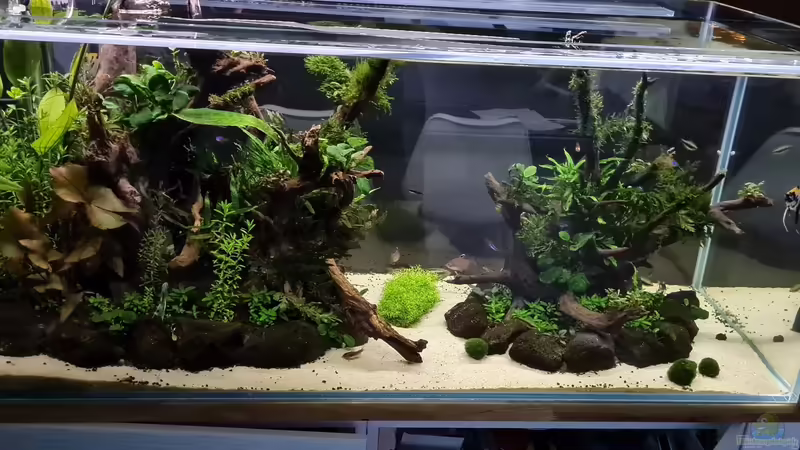 Ansicht Wohnzimmer 27.05.21 von hange (14)