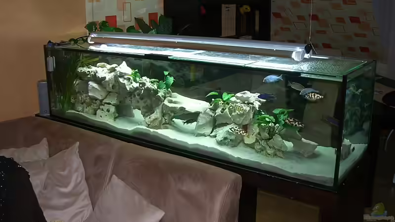 Ansicht Wohnzimmer alt von Dominik Steigewald (2)